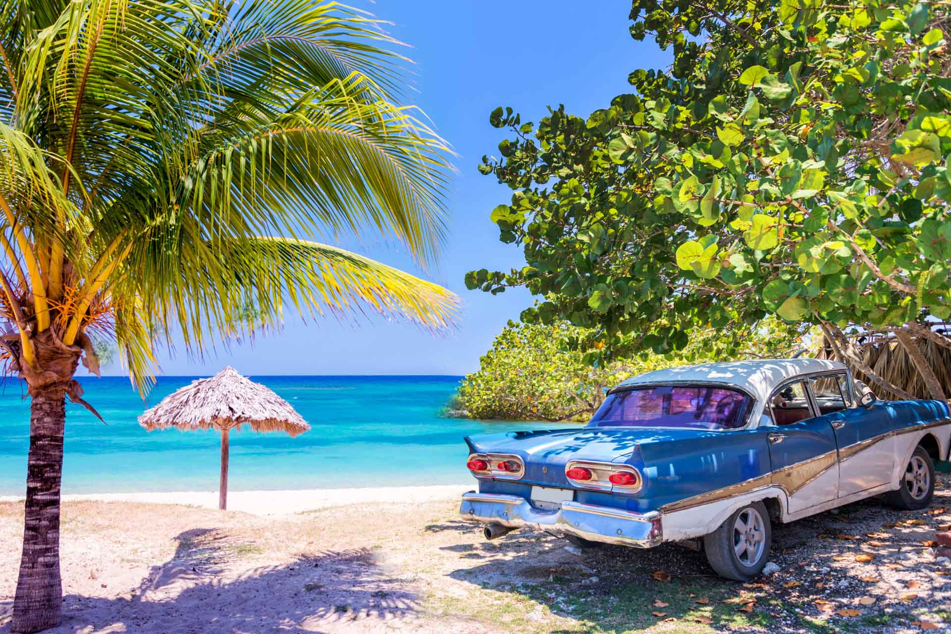 Car parked next to trees near Cuban beach.