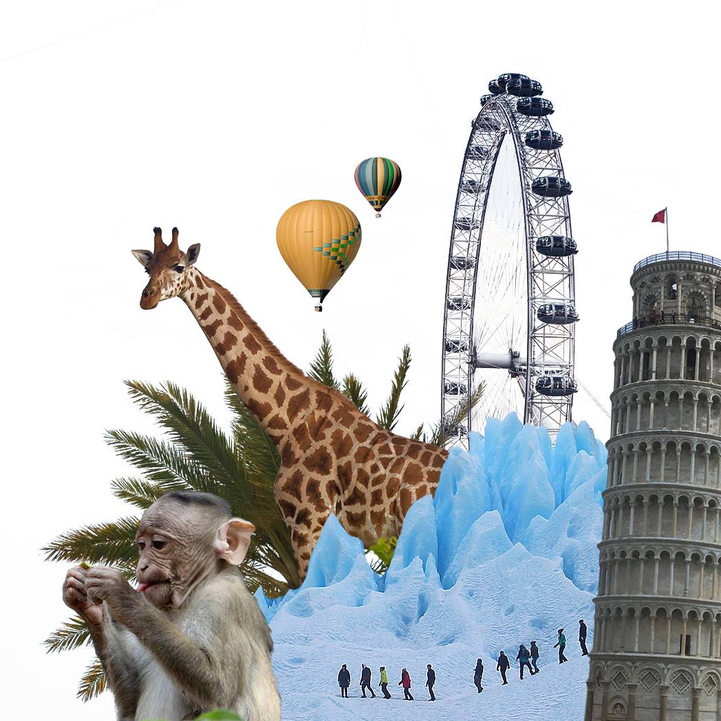 Image collage with various animals and landmarks.